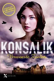 Omslag van Verwoeste zielen