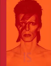 Omslag van David Bowie IS