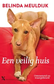 Omslag van Een veilig huis