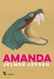 Omslag van Amanda