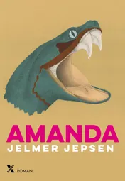 Omslag van Amanda