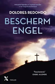Omslag van Beschermengel