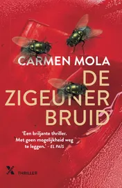 Omslag van De zigeunerbruid