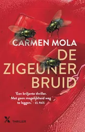 Omslag van De zigeunerbruid
