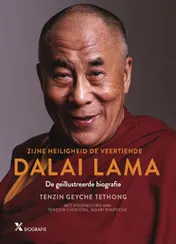 Omslag van Dalai Lama, de biografie
