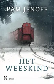 Omslag van Het weeskind