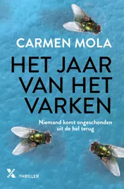 Omslag van Het jaar van het varken