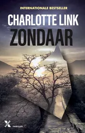 Omslag van Zondaar