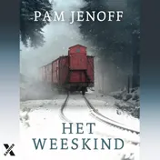 Omslag van Het weeskind