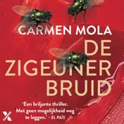 Omslag van De zigeunerbruid