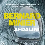 Omslag van Afdaling