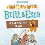 Omslag van Het verdwenen paard