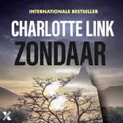 Omslag van Zondaar