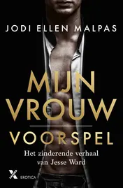 Omslag van Voorspel
