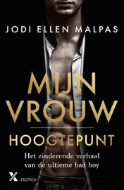 Omslag van Hoogtepunt