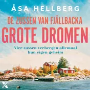 Omslag van Grote dromen