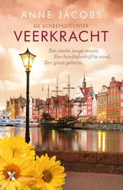Omslag van Veerkracht