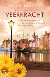 Omslag van Veerkracht
