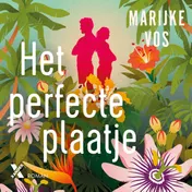 Omslag van Het perfecte plaatje