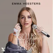 Omslag van Alles wordt beter