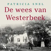 Omslag van De wees van Westerbeek