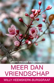 Omslag van Meer dan vriendschap