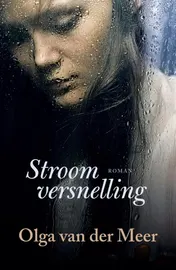 Omslag van Stroomversnelling