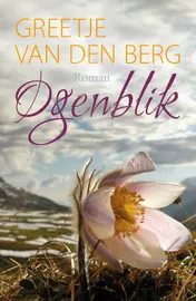 Omslag van Ogenblik