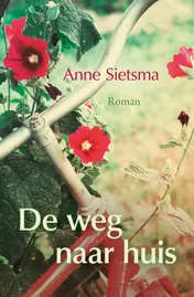 Omslag van De weg naar huis