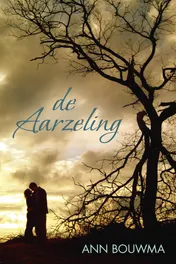 Omslag van De aarzeling