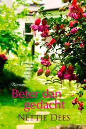 Omslag van Beter dan gedacht