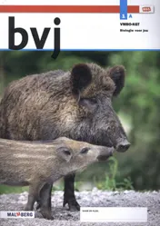 Omslag van Leerwerkboek A