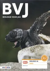 Omslag van 4A havo