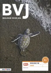 Omslag van 4B havo