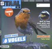 Omslag van groep 4 thema 1 vogels