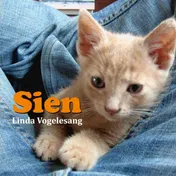 Omslag van Sien