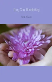 Omslag van Feng Shui Handleiding