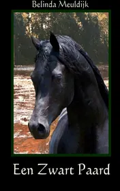 Omslag van Een zwart paard
