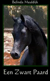 Omslag van Een zwart paard