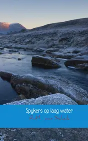Omslag van Spykers op laag water