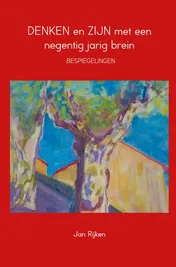 Omslag van Denken en zijn met een negentig jarig brein