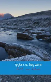 Omslag van Spykers op laag water