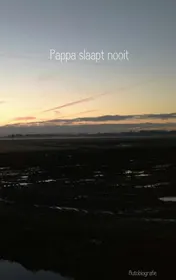 Omslag van Pappa slaapt nooit