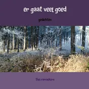 Omslag van er gaat veel goed