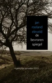 Omslag van De bevroren spiegel