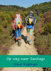 Omslag van Op weg naar Santiago
