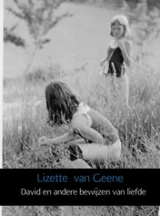 Omslag van David en andere bewijzen van liefde