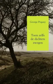 Omslag van Toen zelfs de dichters zwegen