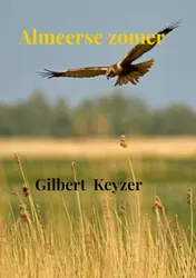 Omslag van Almeerse zomer