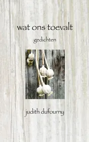 Omslag van Wat ons toevalt